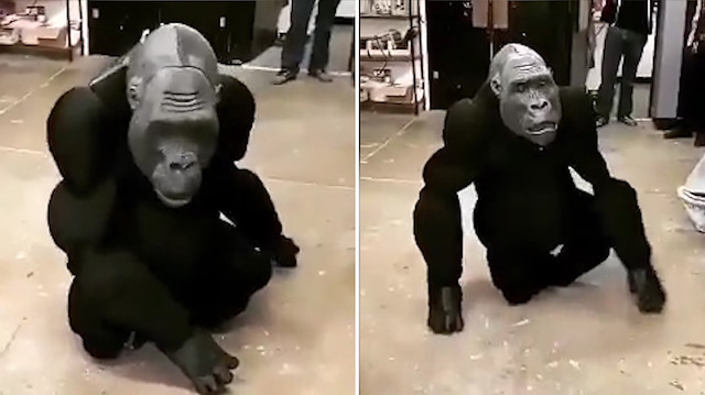 Robot gorili görenler gerçeğinden ayırt edemiyor