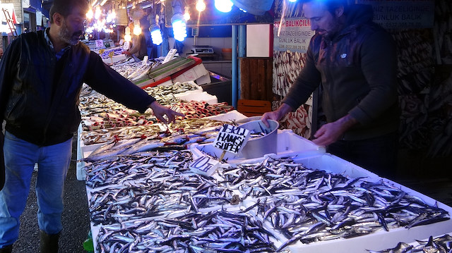 Hamsi, palamut sezonunun sona ermesinin ardından tezgahlardaki yerini almaya başladı