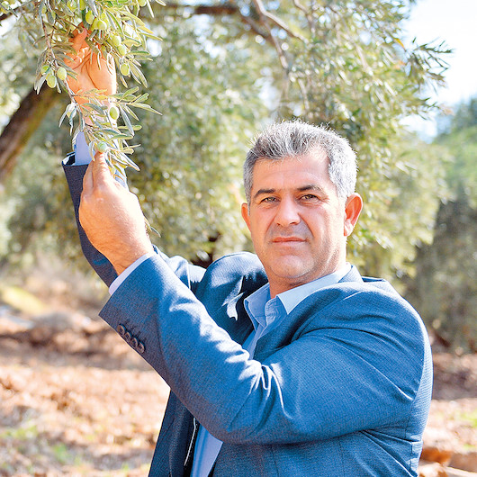 Afrin zeytinidünyaya açılıyor