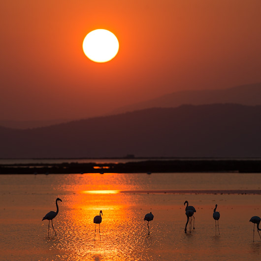 İzmir Kuş Cenneti'nde gün batımı