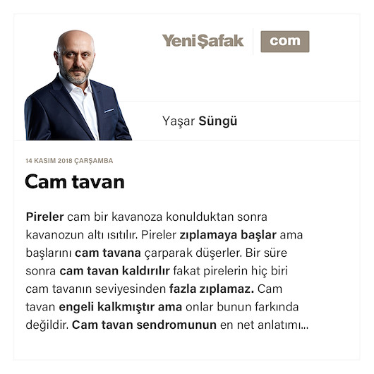 Cam tavan