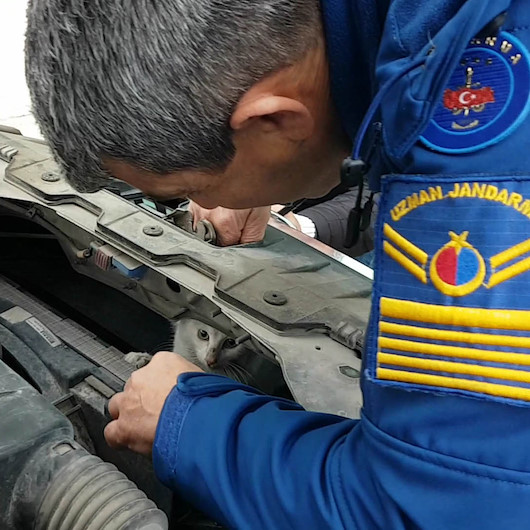 Polis aracının motoruna kedi sıkıştı jandarma kurtardı