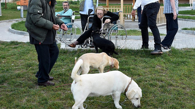 Köpek sahibi olmak kalp rahatsızlıklarına da iyi geliyor.