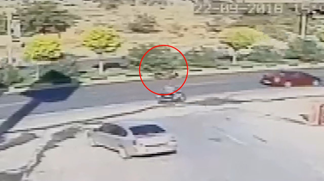 Yola fırlayan at kendisine çarpan motosikletlinin kafasını ezerek öldürdü!