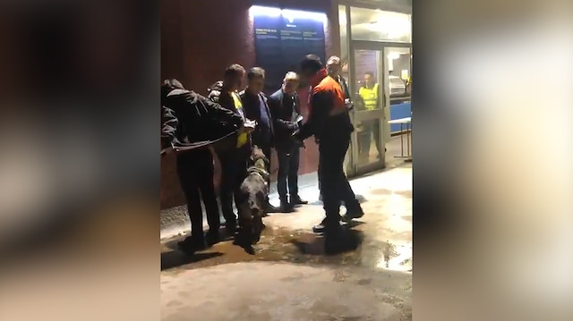 Barcelona-Fenerbahçe maçında Türk taraftarı köpeklerle aradılar!