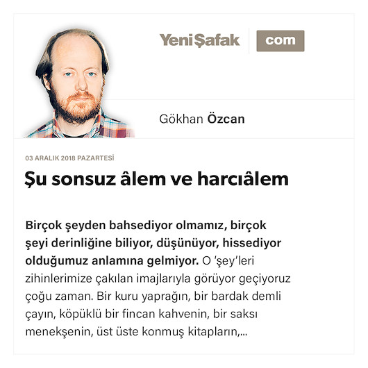 Şu sonsuz âlem ve harcıâlem