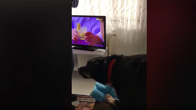 Babasından azar yiyen minik kızı ölümüne koruyor