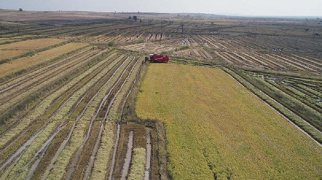 Food and Agriculture Organization of the UN (FAO)-Global Soil Partnership eyes to set up soil database SoilSTAT to assess the current situation in the world, including Turkey.
