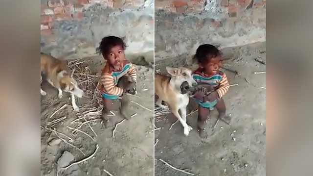 Anne köpek yavrusunu aşıran miniğe izin vermedi