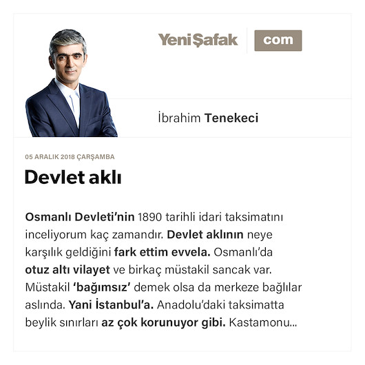 Devlet aklı