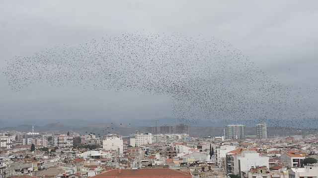 Manisa semalarında görsel şölen