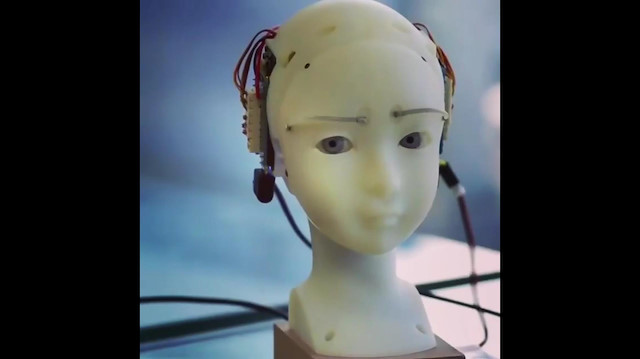 Mona Lisa gülüşünü taklit edebilen robot