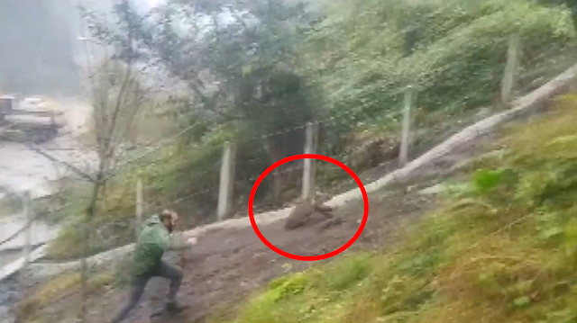 Kümese giren yavru ayı köylüye zor anlar yaşattı
