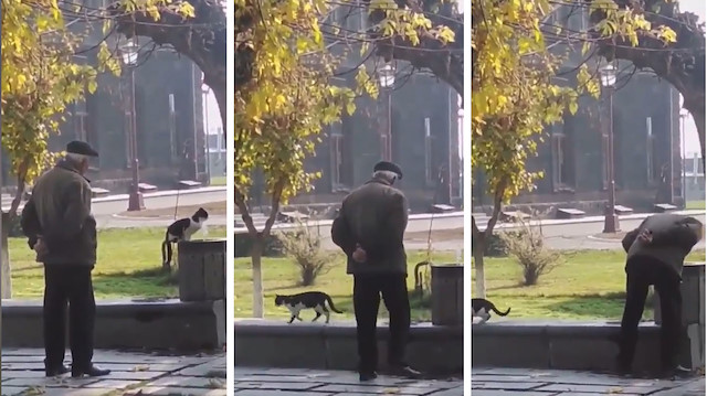 Su içmek için kediden sırasını bekleyen yüreği güzel dede