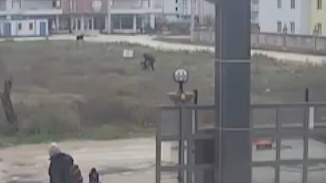 Kuşlarına bakan çocukları tekme tokat dövdü!