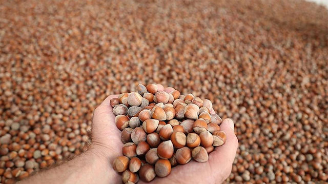 Kuru yemiş tüketiminde Hindistan, dünyada ilk sıralarda yer alıyor.