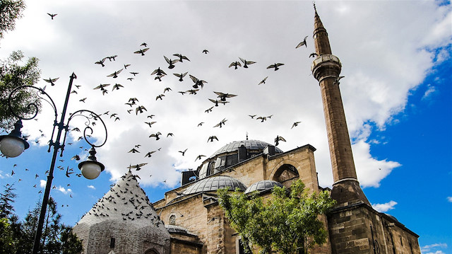 Arşiv