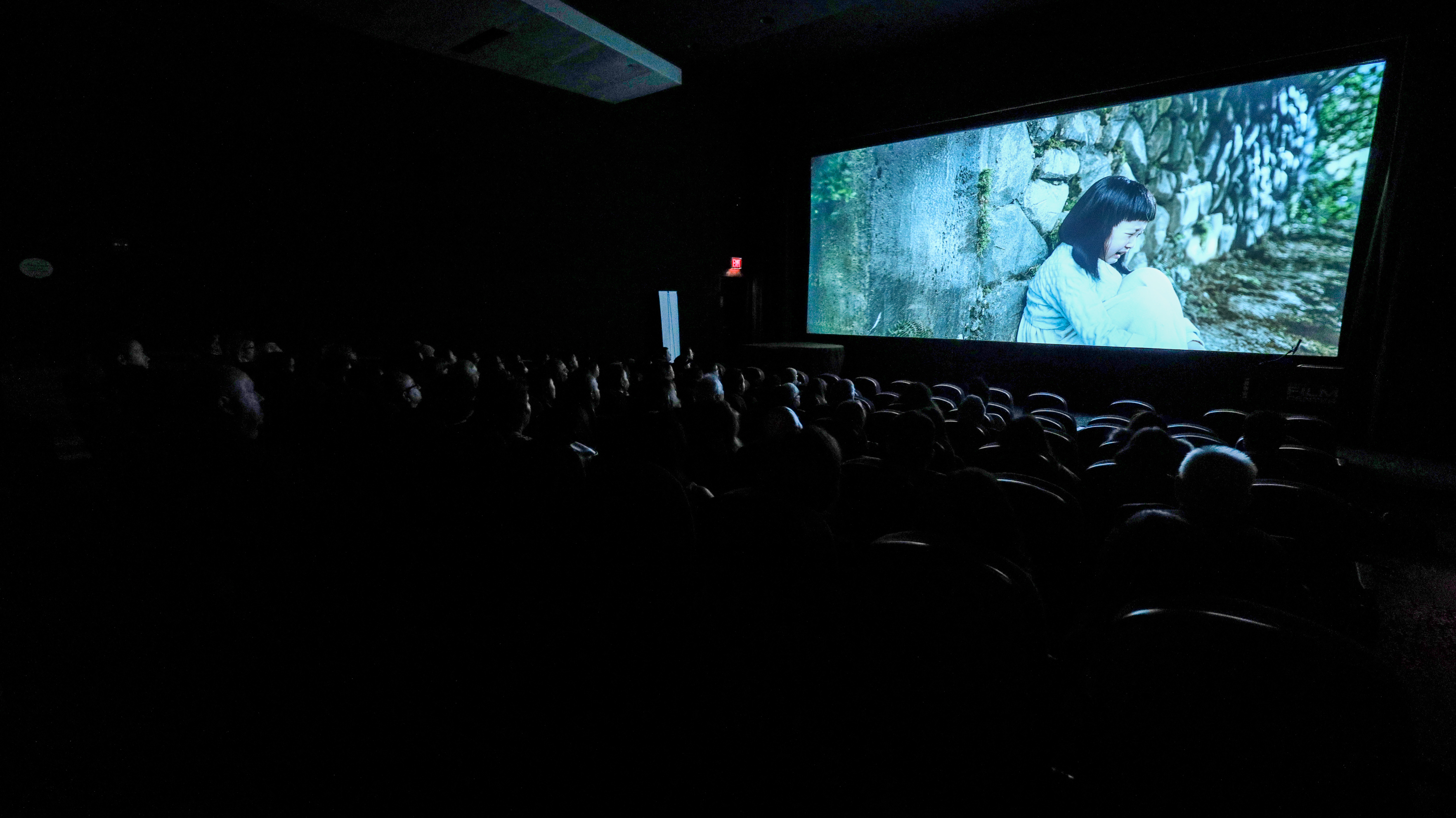 , Turkey's Consulate General in Chicago and Chicago’s prestigious Gene Siskel Film Center held a screening of an acclaimed Turkish movie 
