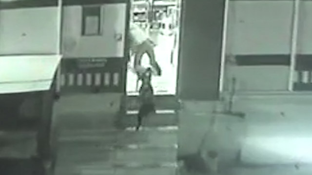 Pitbullun kovaladığı genç kendini markete zor attı