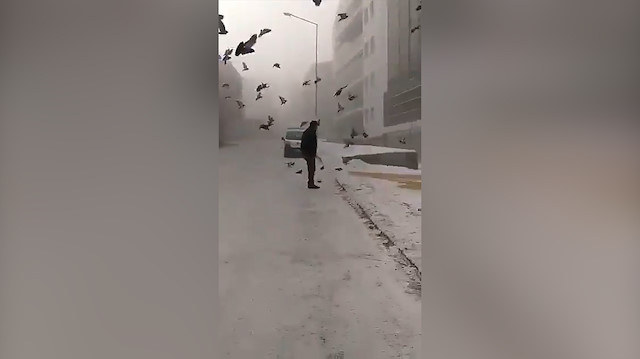 Hayırsever esnaflar karlı havada aç kalan kuşları unutmadı