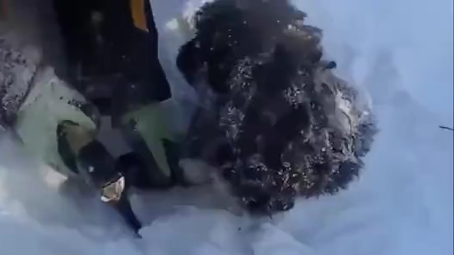 Minik köpek donmaktan son anda kurtarıldı