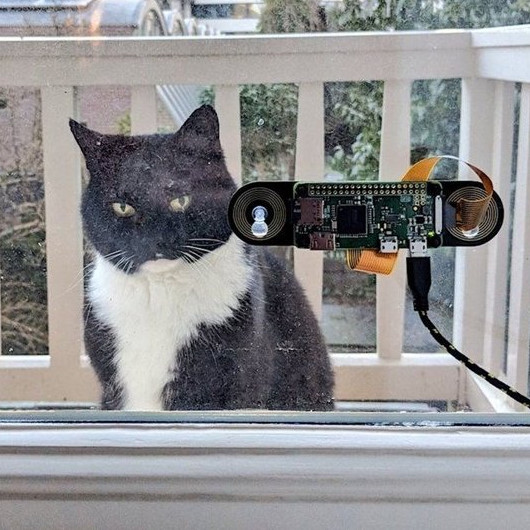 Kedi eve yüz tanıma sistemiyle giriyor