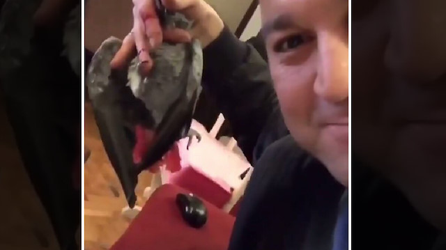 Murat Özdemir'in eziyet ettiği papağan Bahtiyar öldü