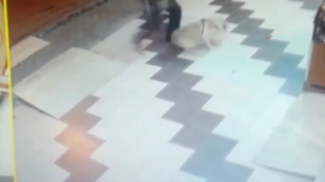 Köpeğe tekme atıp sopa ile saldırdı!