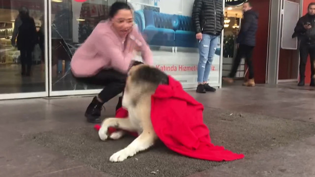Üzerini örttüğü köpek tarafından ısırılıyordu