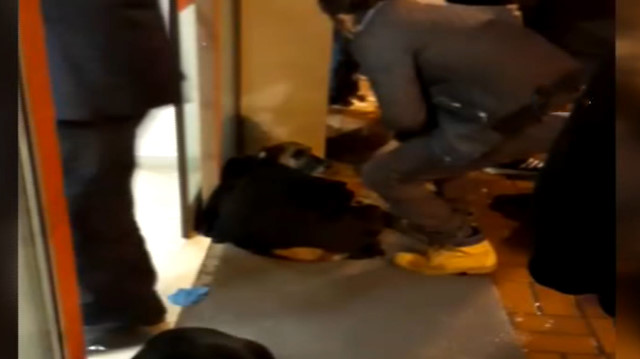 Montunu çıkarıp üşüyen köpeğin üzerine örttü