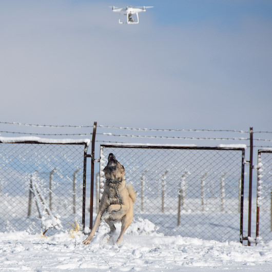Kangal drone'u tehlike olarak algıladı