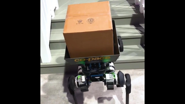 Teslimat öncesi kapıyı çalan robot köpek