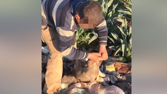 Görüntülerde, çocuğun yavru köpeği, iple boğmaya çalıştığı görüldü.
