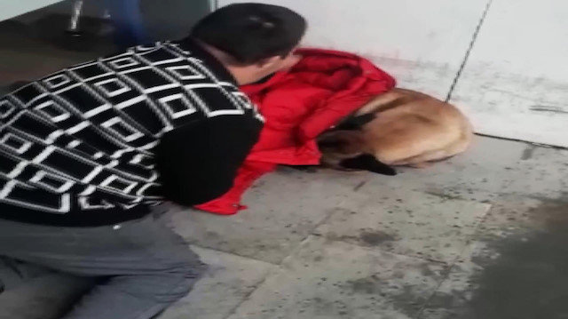 Üşüyen köpeğin üzerine montunu örten down sendromlu genç