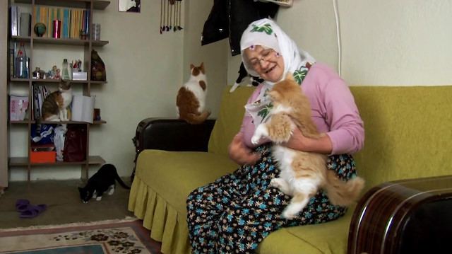Üşümesinler diye evinde 58 kediye bakan Nuriye Teyze