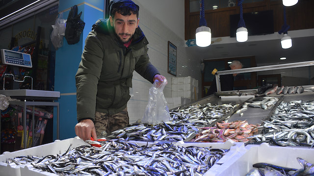 Tezgahlarda hamsinin kilosu 25 liraya kadar yükseldi.
