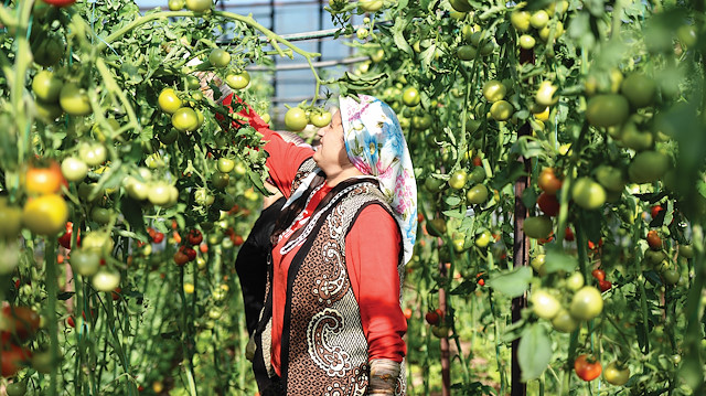 Üç yıl içerisinde 3 bin kişiye doğrudan istihdam sağlandı