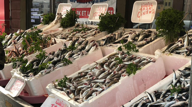 Hamsinin kilosu 25 liradan satılıyor.