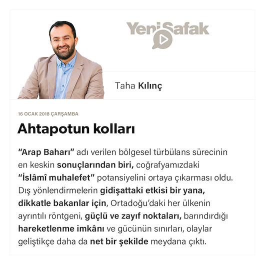 Ahtapotun kolları