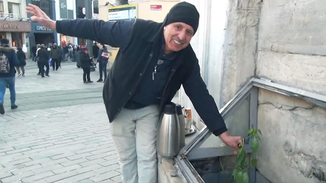 Tarihi çeşmede biber fidanı yetişti