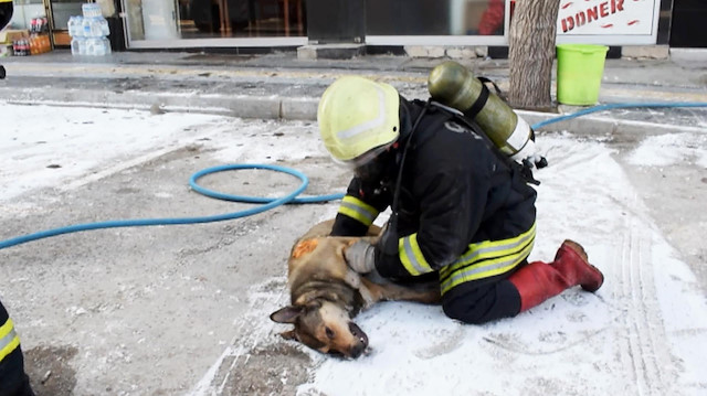 İtfaiye erinin dumandan zehirlenen köpeği kurtarma çabası
