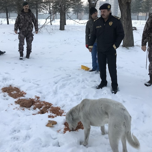 Polis merhameti: Sadece insanların güvenliğinden sorumlu değiliz