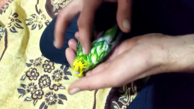 Aşkın ile Taşkın'ı kalp masajı hayata döndüremedi