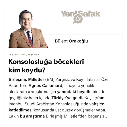 Konsolosluğa böcekleri kim koydu?