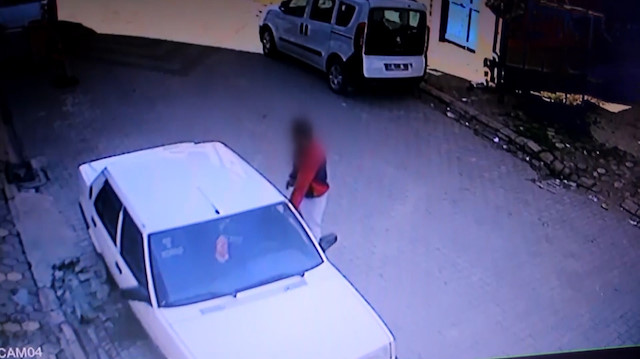 Sazanla dolandırıcılık kamerada