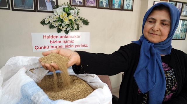 Kinoa üreticilerine İtalya kapısını çiftçi Zeliha araladı