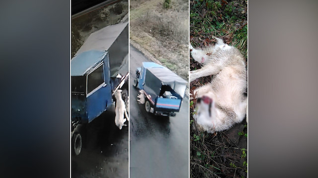 Tarım aracına bağlanarak sürüklenen ve bu nedenle hayatını kaybeden köpek.
