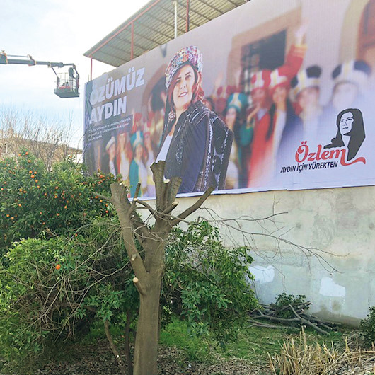 Afişi görünsündiye ağacı kesti