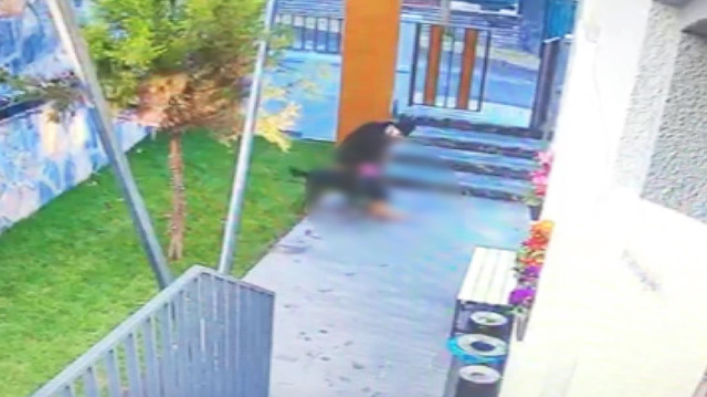 Köpeğinin kediyi parçalamasını izleyip ölünce çöpe attı