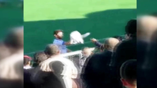 Sahibine ulaşmak isteyen kedi sahanın içine girdi